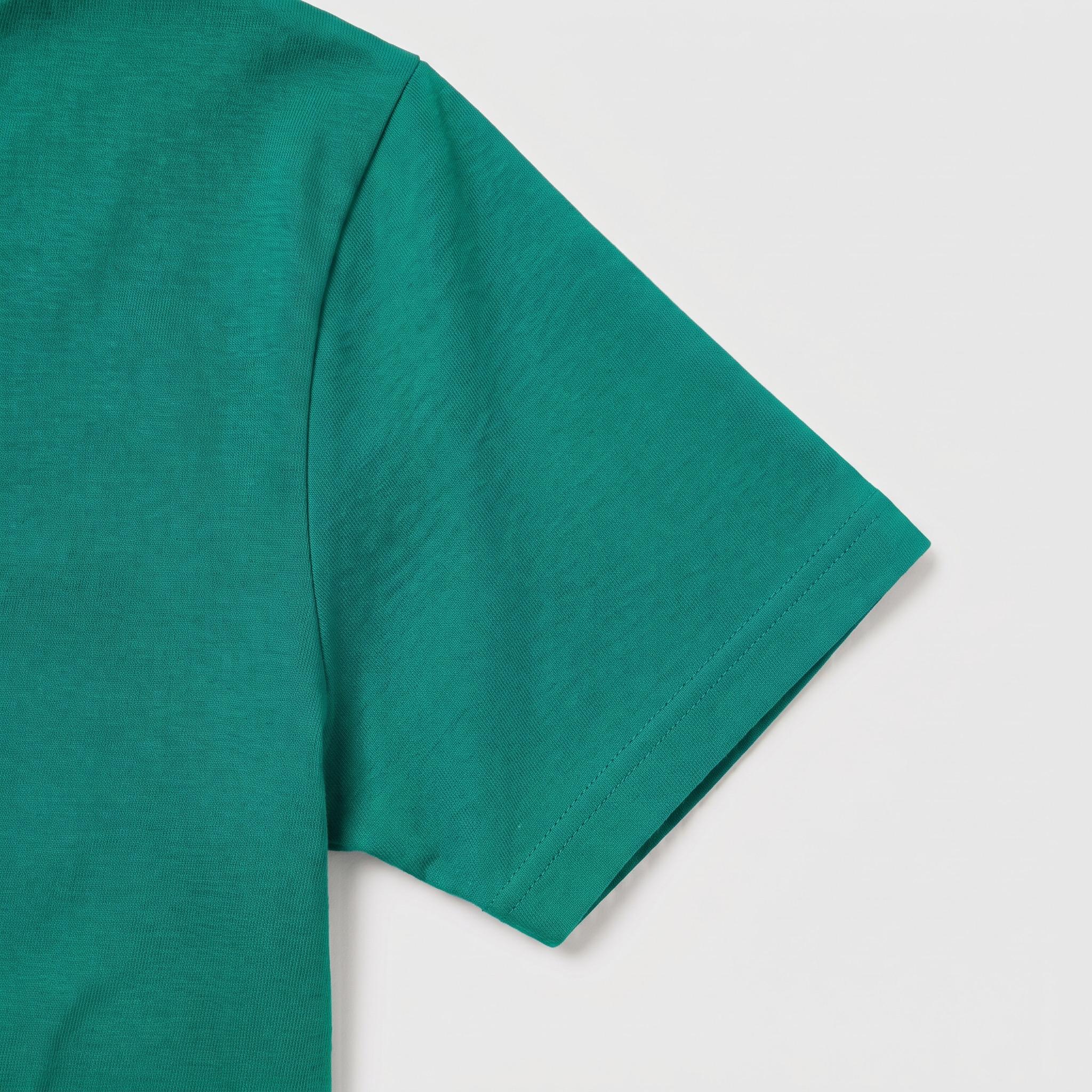 Camiseta 100% Algodón 220gr